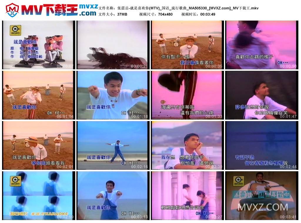 张震岳-就是喜欢你(MTV)_国语_流行歌曲_MA505330